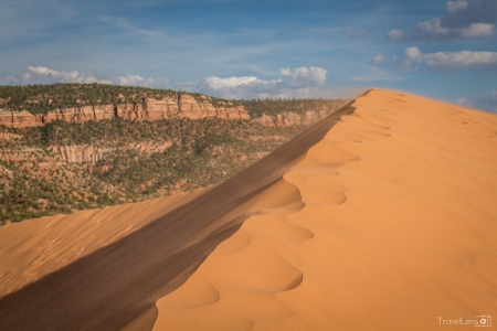 Sand Dune at Coral Pink Sand Dunes