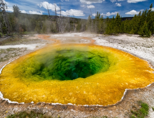 Tag 17 – Erster Tag im Yellowstone (viele bunte Pools)