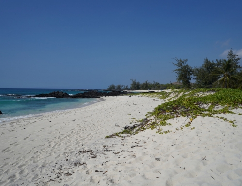 Tag 20 (Big Island) – Bester Kaffee und schönster Strand