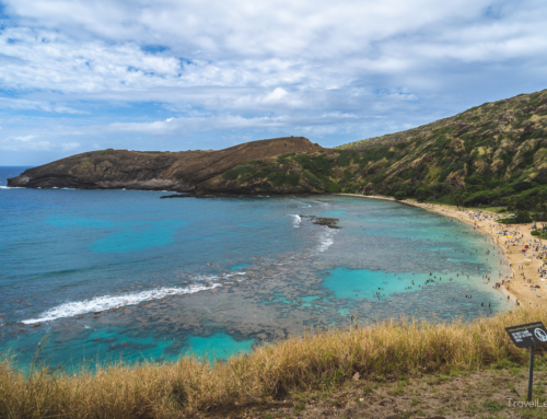 Tag 3 (O’ahu) – Paradiesische Unterwasserwelt mit Feuerwerk