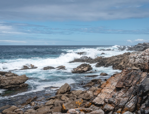 Südafrika Tag 9 – Hängebrücken im Tsitsikamma NP und viele Affen