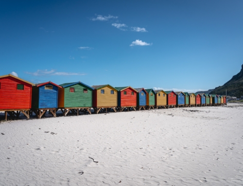 Südafrika Tag 12 – Süße Pinguine und bunte Häuschen am Strand