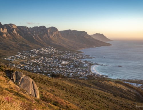 Südafrika Tag 14 – Kapstadt und der Lion’s Head